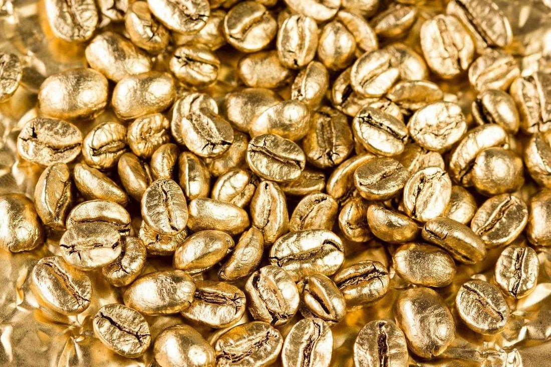 Oceana Coffee Sweeps Prestigious Golden Bean North America Coffee Competition with Seven Medals - Oceana Coffee 2022