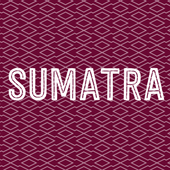 Sumatra Mandheling graphic with geometric pattern background.