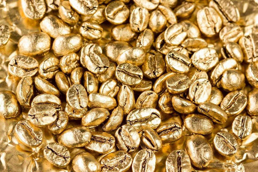 Oceana Coffee Sweeps Prestigious Golden Bean North America Coffee Competition with Seven Medals - Oceana Coffee 2022