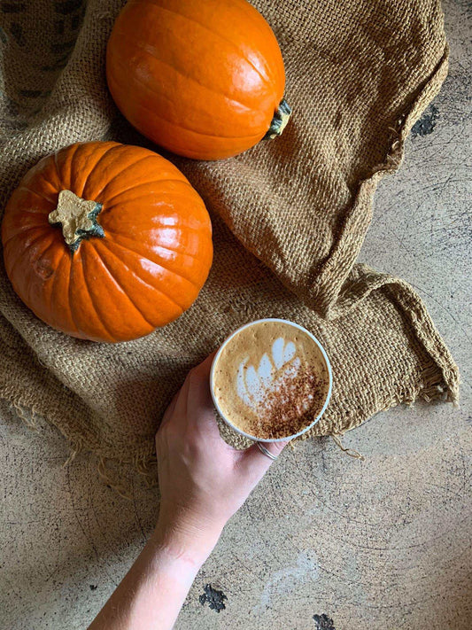 PUMPKIN SPICE, SPICE BABY! - Oceana Coffee 2022