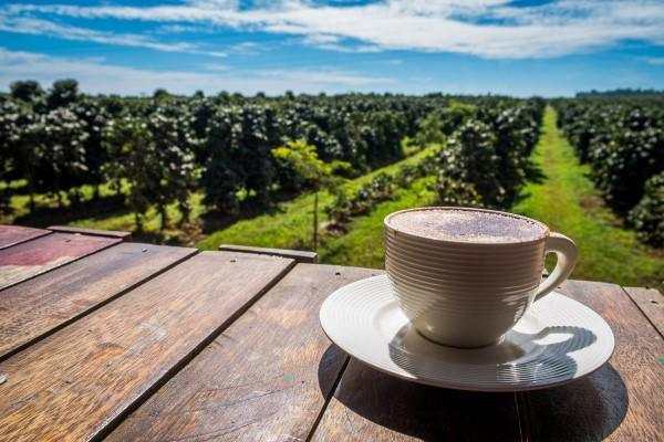 Understanding Single Origin Coffee - Oceana Coffee 2022